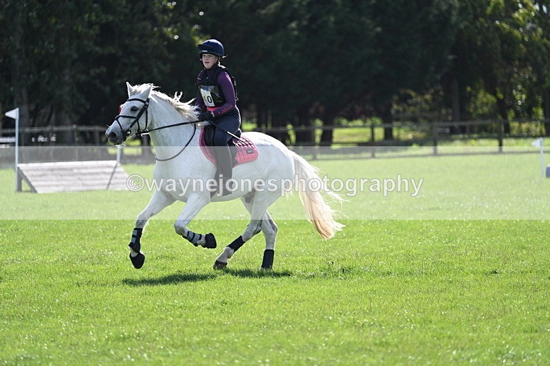 WJ7_1461 - Time 13:56 to 14:24