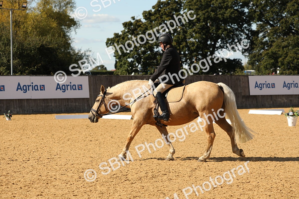 SBM_24592 - D17 - Grand Tour Championship - Novice 27