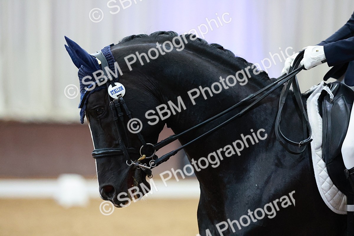 SBM_003908 - Class 1 - M5