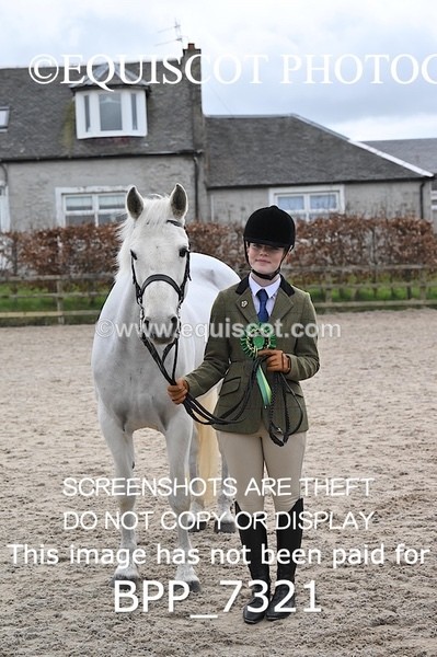 BPP_7321 - RING 1  (RIDDEN HORSES / IN HAND / VETERAN ETC)