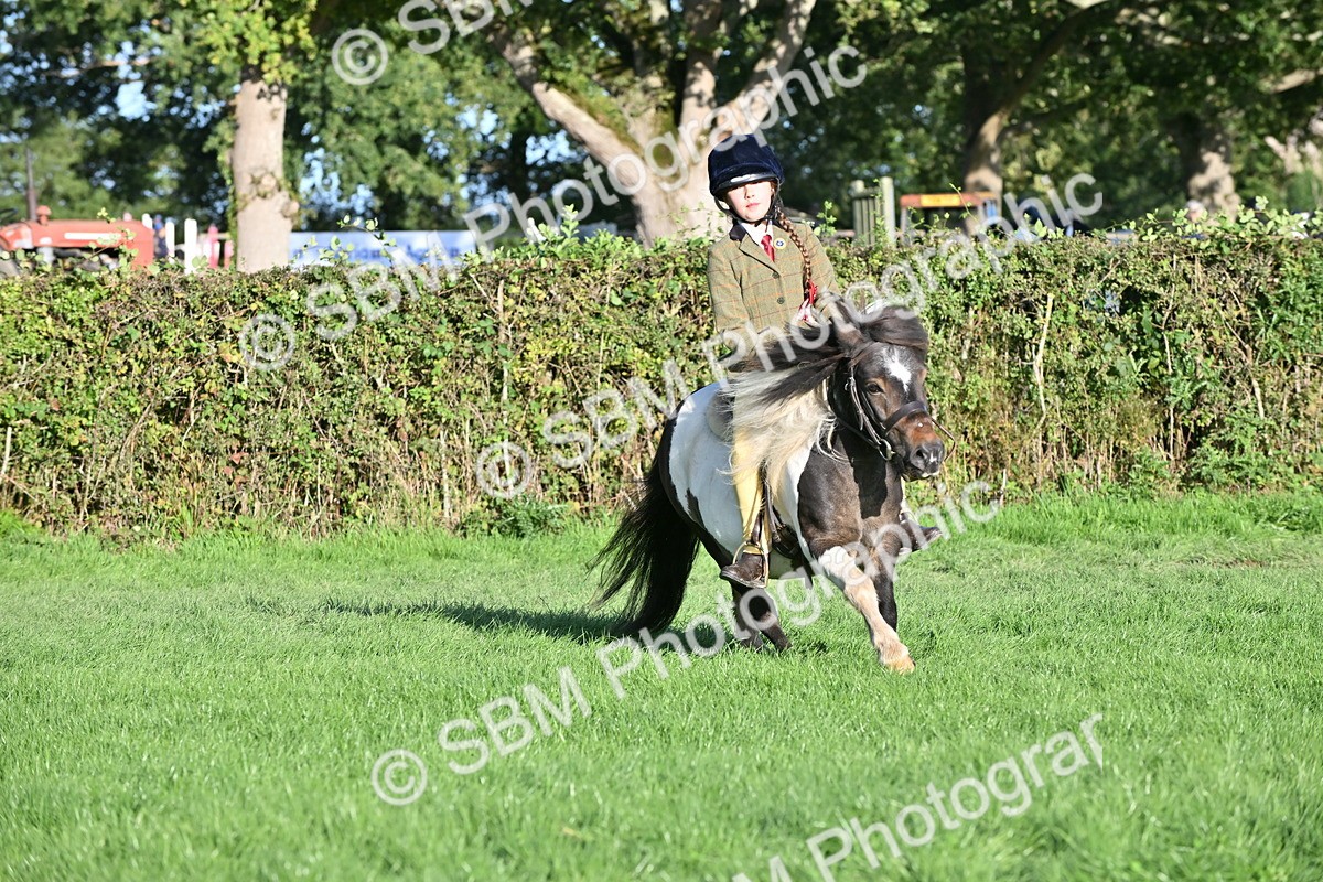SBM_53059 - S23 - First Ridden Mountain & Moorland Pony