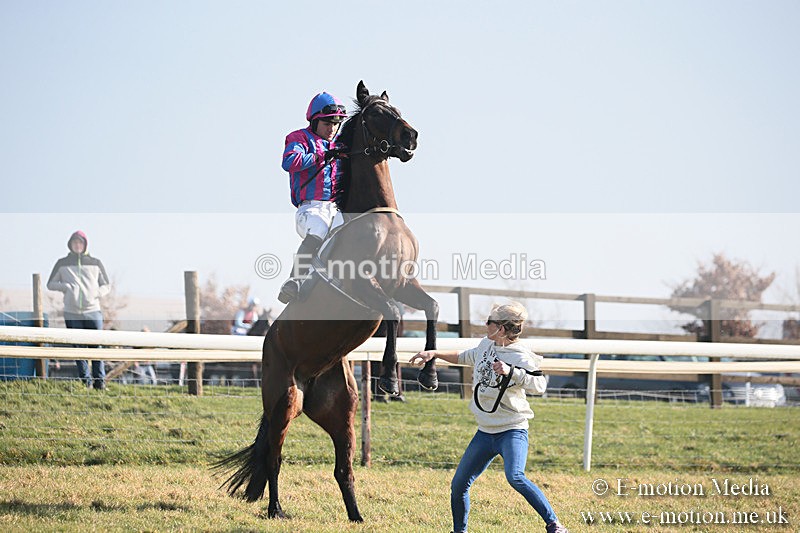 PtP 230219 12 - Vine & Craven Point-To-Point - Barbury 23/02/19