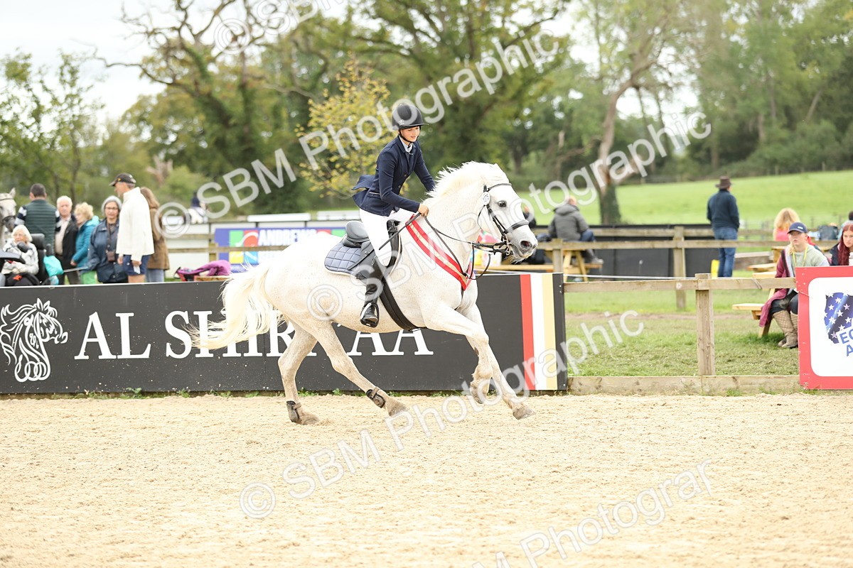 SBM_63202 - Supreme championship 75cm 80cm