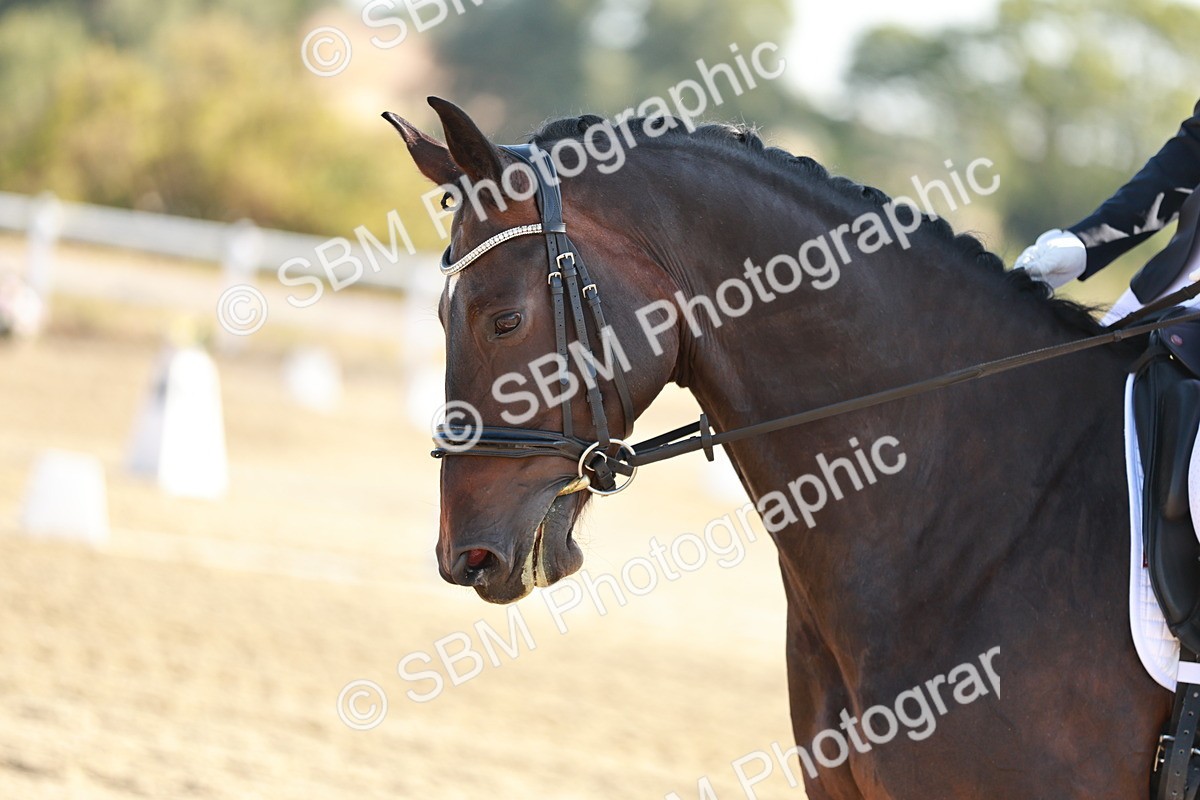 SBM_016862 - Class 10 - N5 Silver 9.33.10.29