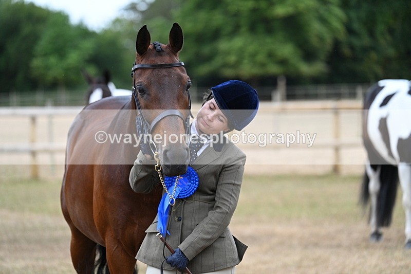 WJ7_9272 - Class 4a Prettiest Mare 14.2hh and over