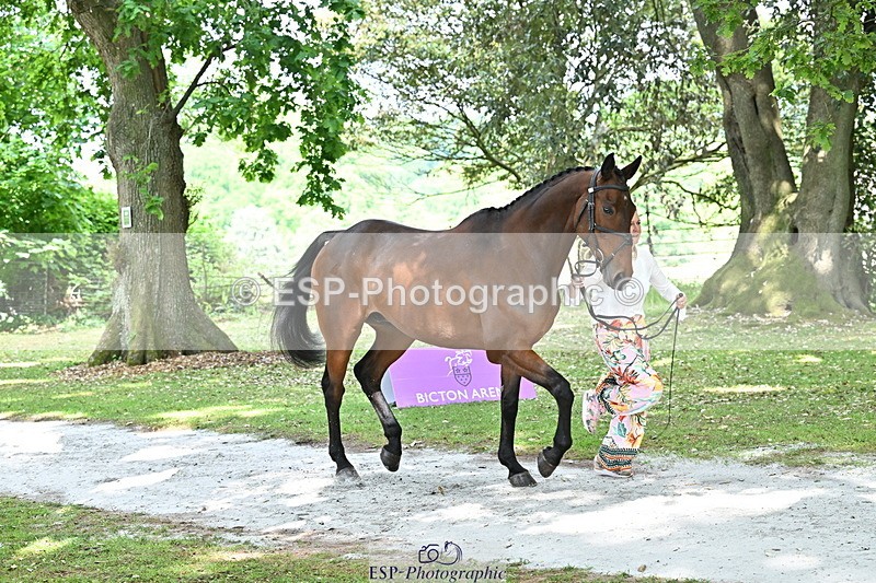 250521A-151726-00403 - B-325-Kat.Raybould-MONBEG.SHELBY