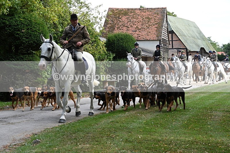 WJ6_3932 - Berks & Bucks - The Old farmhouse - Hound Exercise 20-08-25