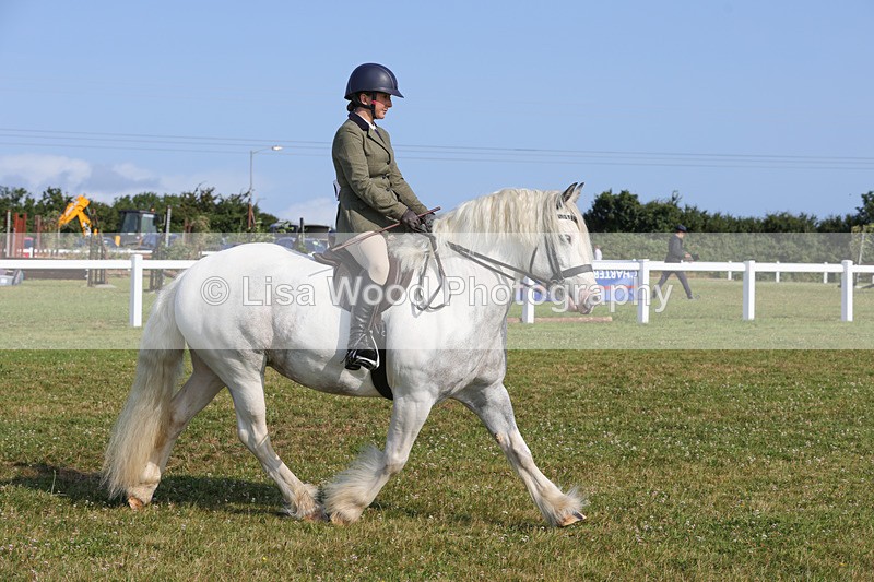 1X9A3379 - Class 28: Ridden Native/Trad Coloured Pony