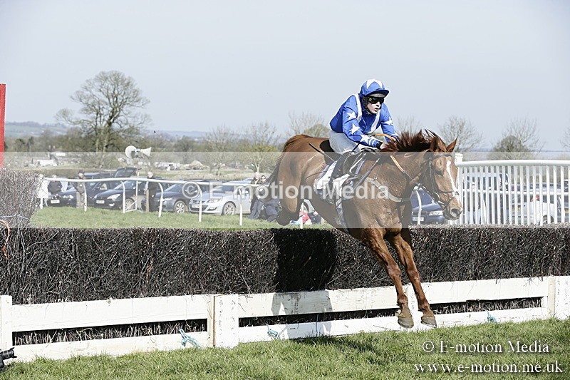 PtP 260317 129 - Mendip Farmers Point-to-Point Ston Easton 26/03/17