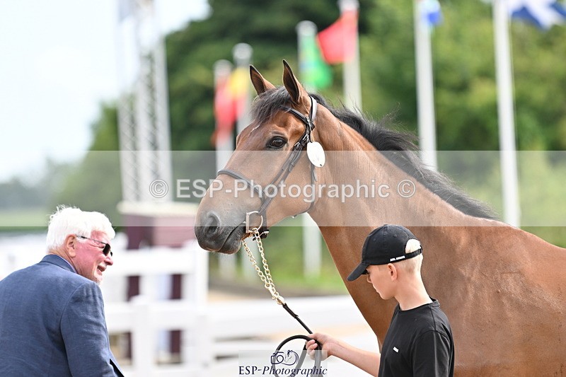 240717A-165710-03560 - Trot Up 4pm to 5pm