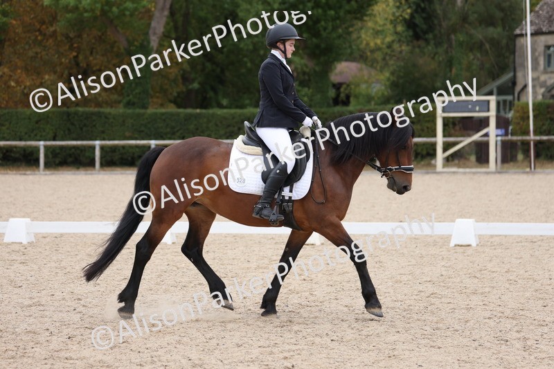 20250820-1218 - Class 18 - Elementary 5