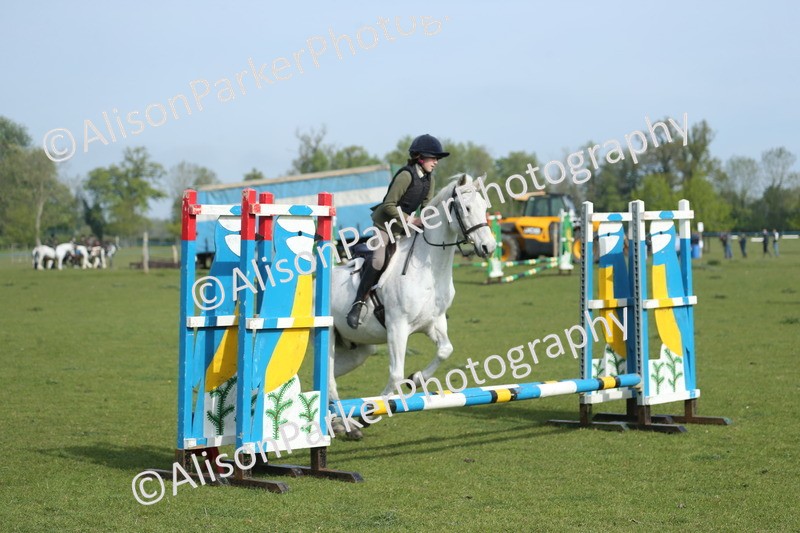 20260426-0167 - Class 13 - Rookie Jumping 50cm