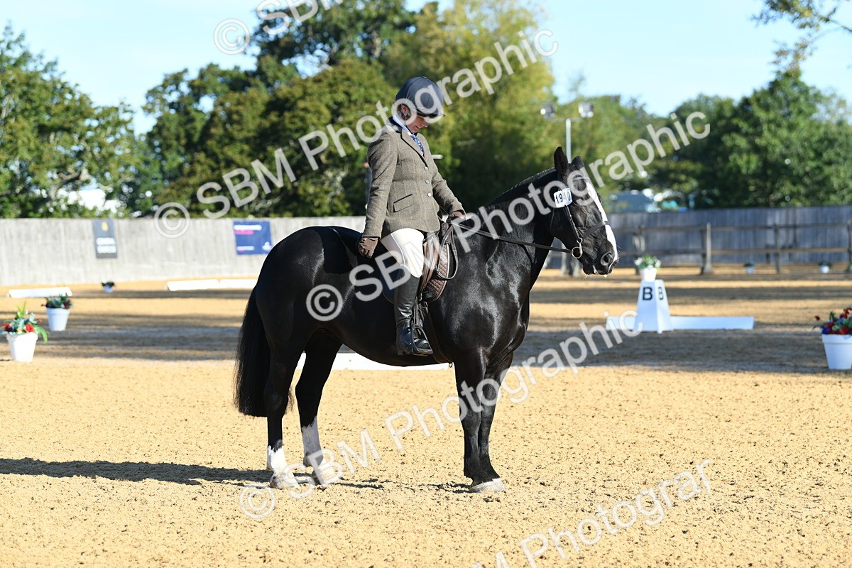 SBM_16098 - D4 - Small Tour Championship - Intro B