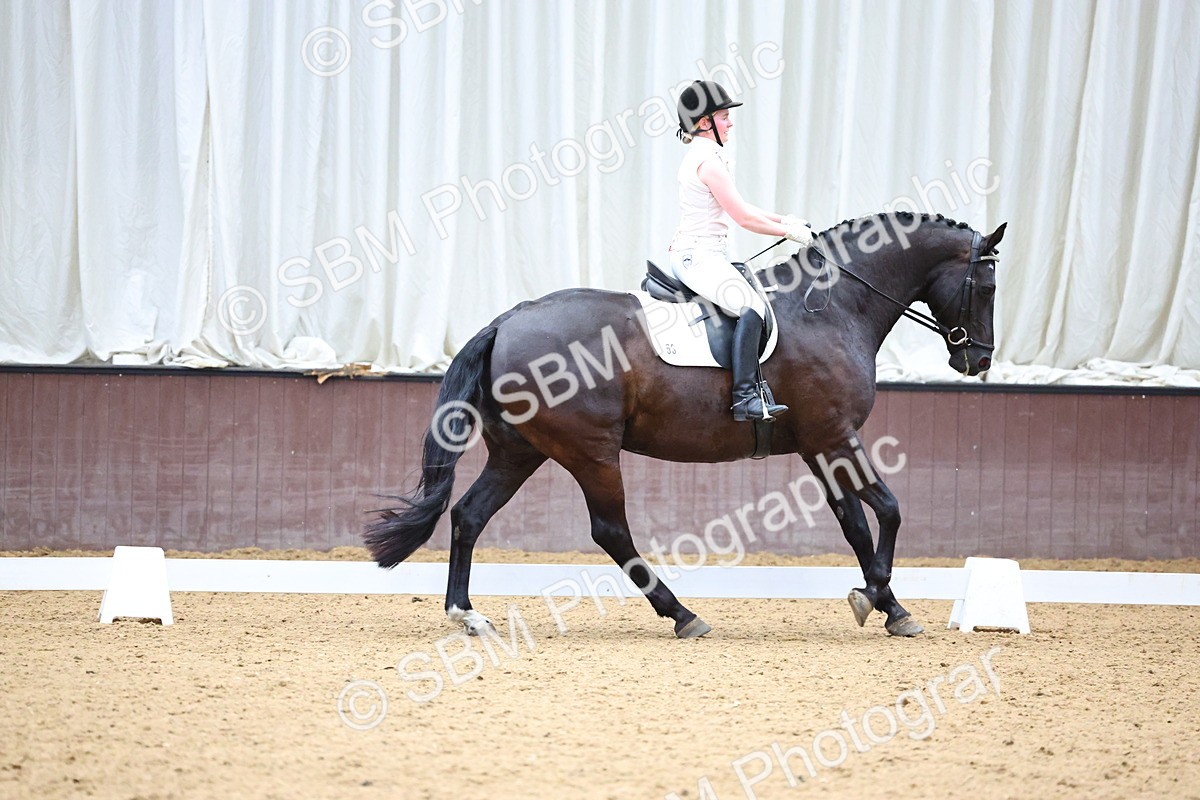 SBM_005552 - Elementary 2