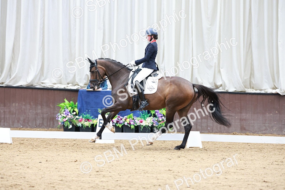 SBM_017851 - Class 15 - FEI Junior