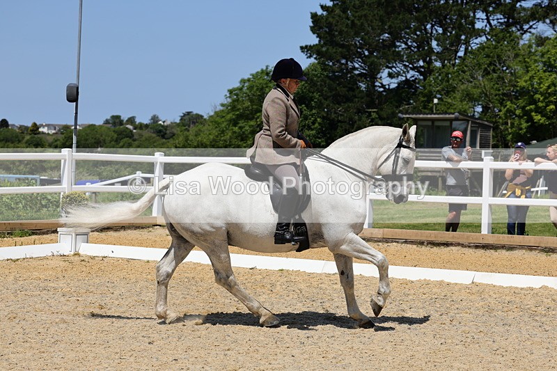 1X9A1739 - Class 11: Ridden Cob