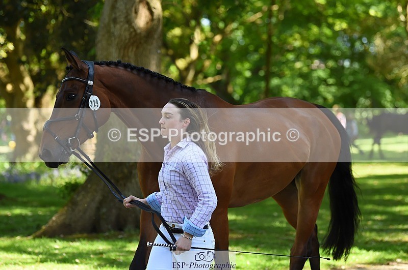 230524-152732-00282 - 329-VINTAGE_GRAFFITI-Alice_Hallows-WEDTrotUp+DR