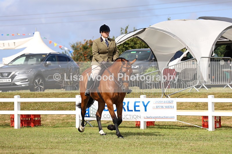 3E7A9413 - Class 4: Rising Star M/H Hunter