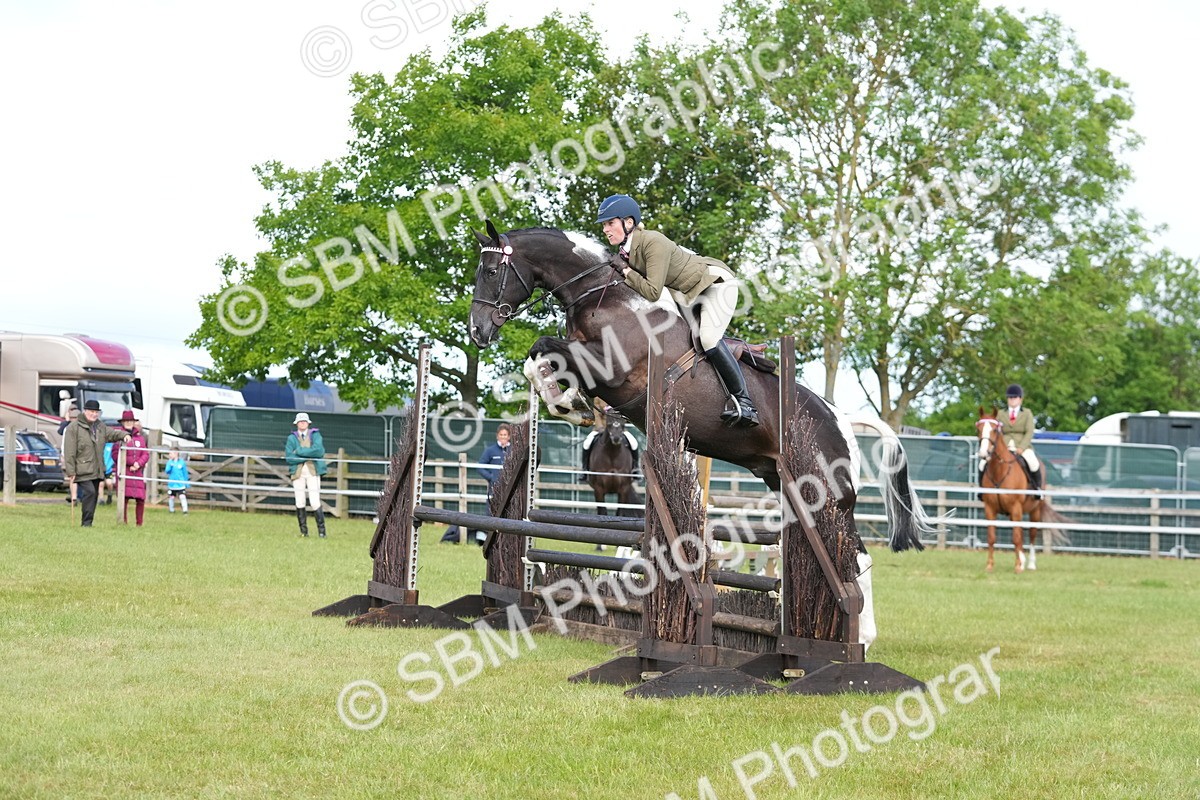SBM_12873 - Class 99 - RIHS SEIB Working Show Horse
