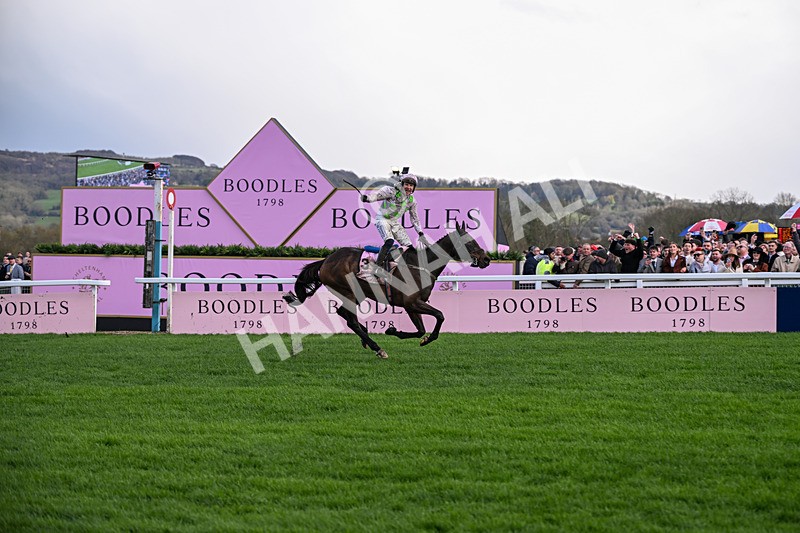 130326-Race 5-Gaelic Warrior-2634 - 13th March