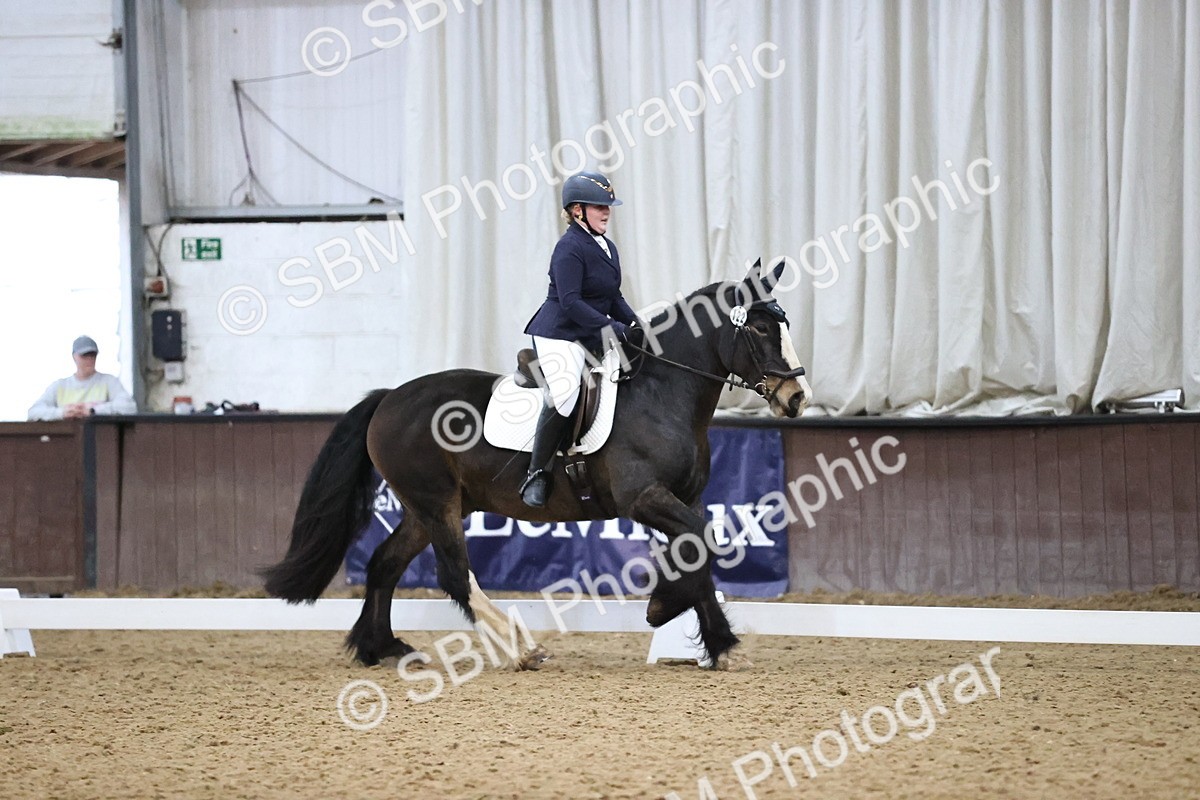 SBM_004298 - Intermediate