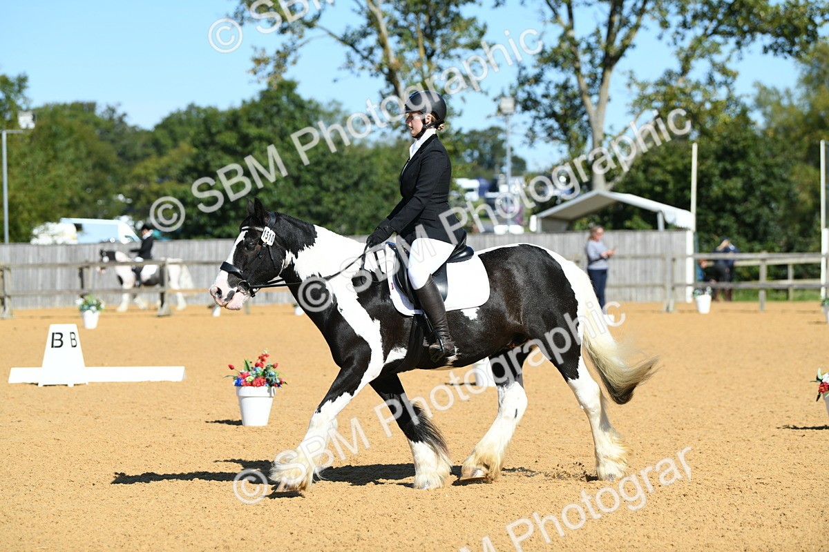 SBM_18224 - D4 - Small Tour Championship - Intro B