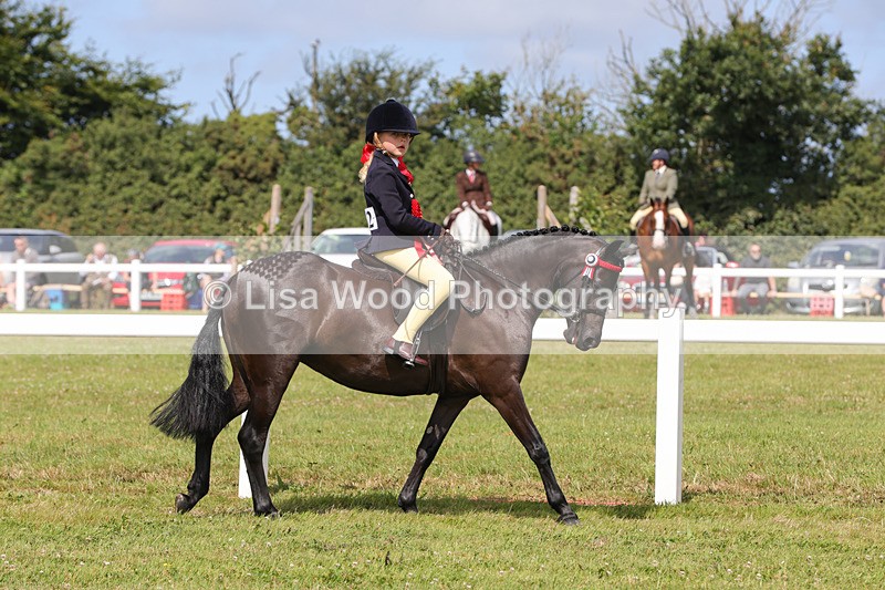 1X9A3805 - Plaited Mini Ridden Championship