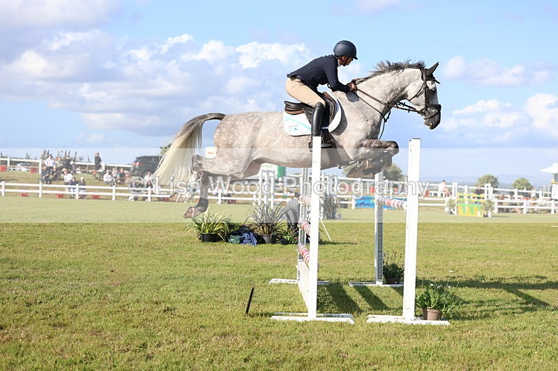 3E7A4391 - Class C: Showjumping Senior Foxhunter