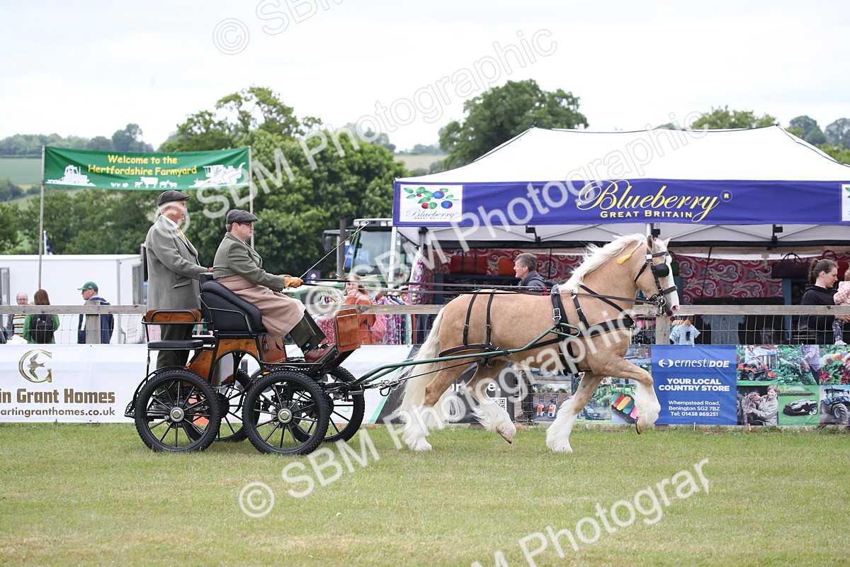 SBM_05617 - Class 12-15 - HOYS Private Driving