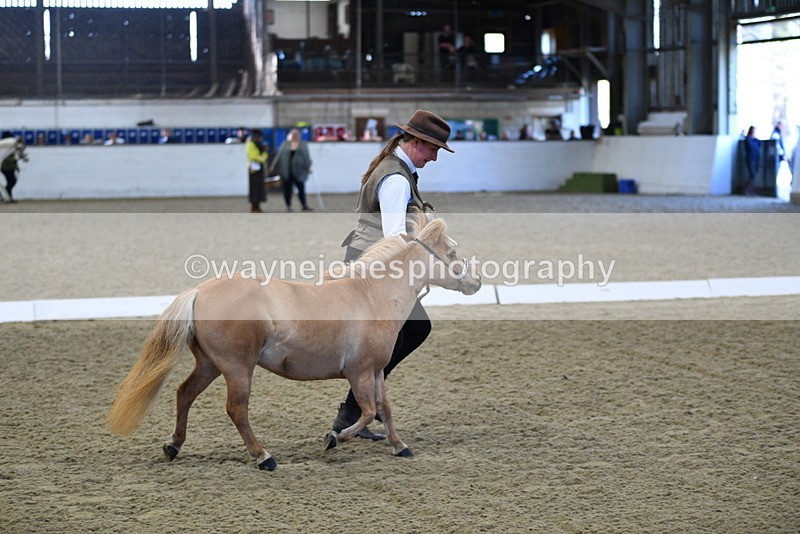 WJ5_3895 - Class 5 In Hand Veterans