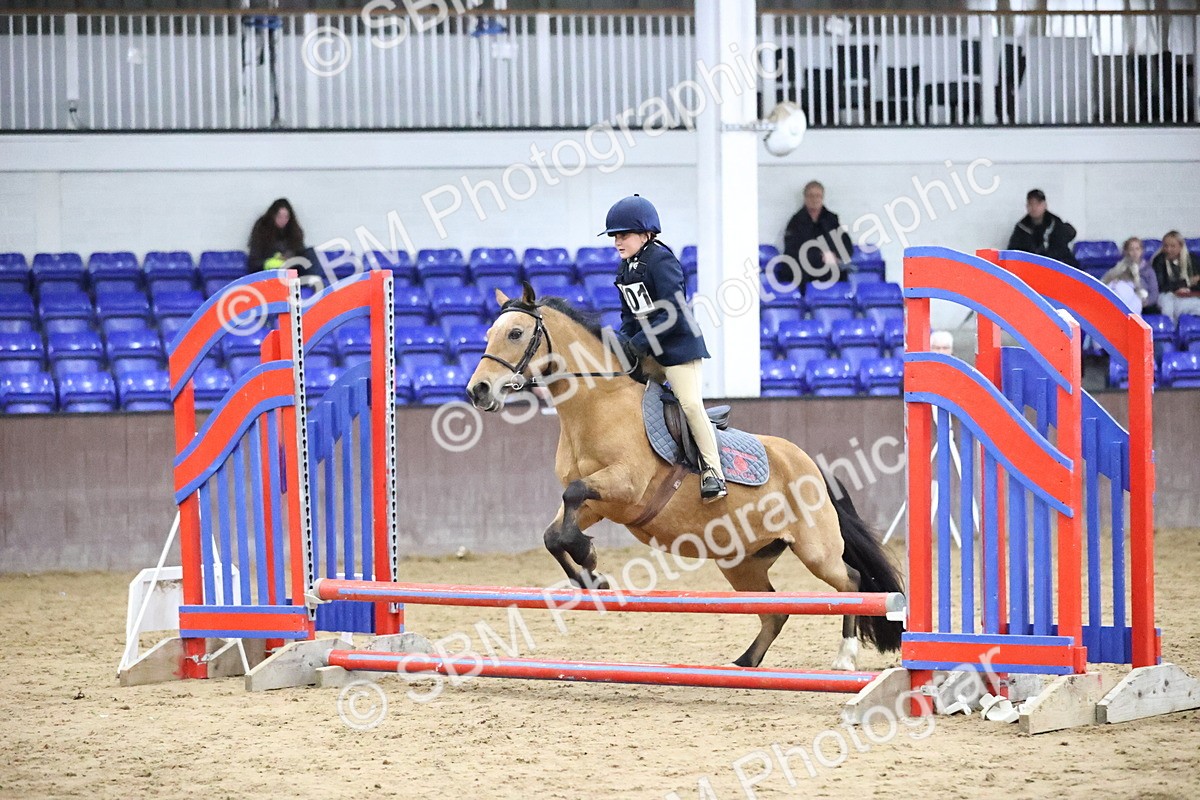 SBM_000561 - Class 3 - The Fire Safety Stick 50cm