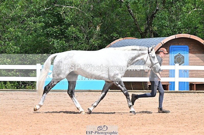 240718A-105252-01258 - Trot Up 12pm to 1pm
