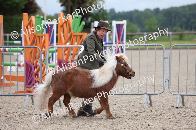 20250524-0018 - Class 1 - Best Condition