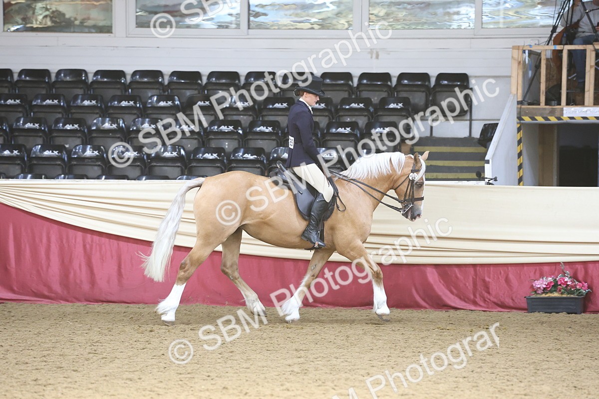 SBM_23777 - class 906 - Supreme Final - Ridden Pre Vet