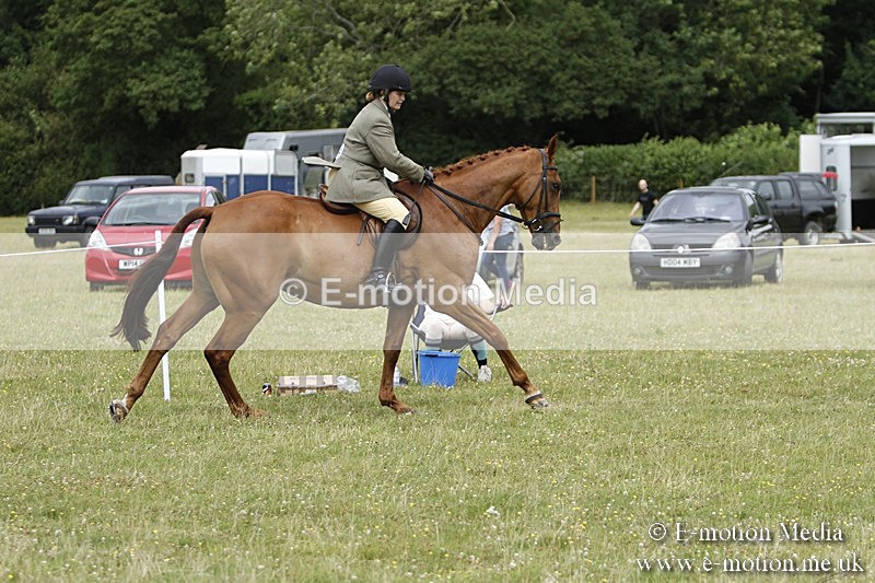 BVR160717-2241 - Ring 3 BVRC Show 16/07/17