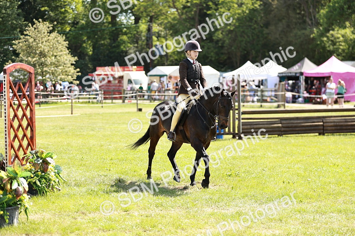 SBM_17634 - Class 112-113 - BSPS LIHS Working Sports Pony