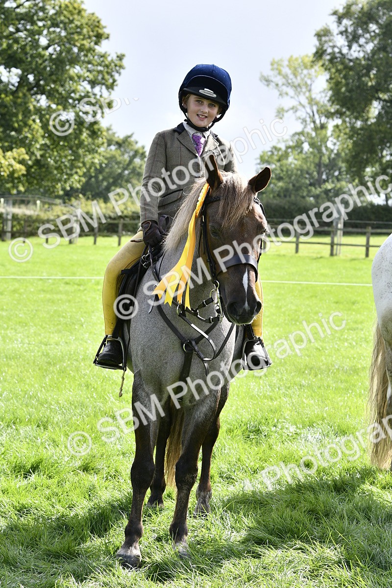 SBM_41664 - S32 - Mountain & Moorland Working Hunter Pony