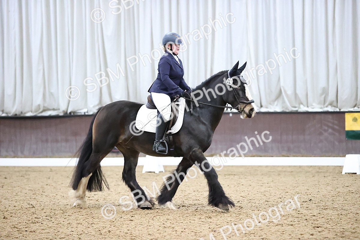 SBM_004307 - Intermediate