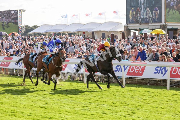 240824-Race 6-Tropical Storm-9209 - Race 6 4.45pm Julia Graves Roses Stakes