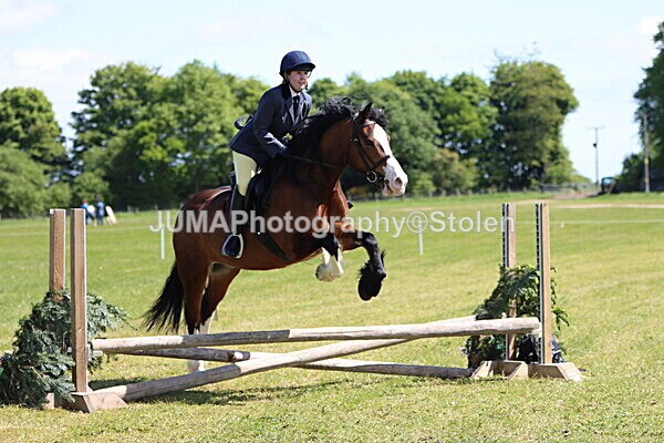 IMG_3474 - Working Hunter