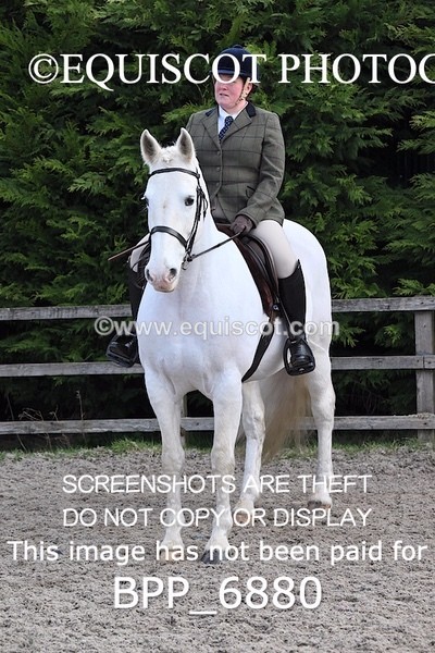 BPP_6880 - RING 1  (RIDDEN HORSES / IN HAND / VETERAN ETC)