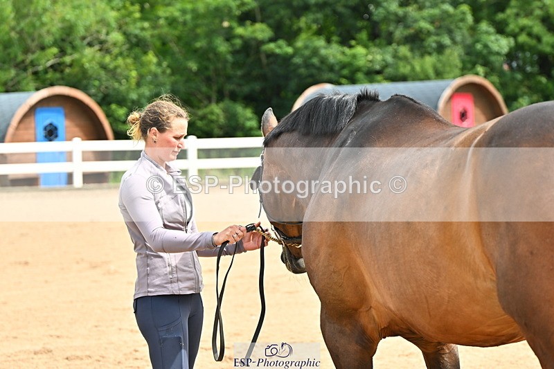 240718A-105236-00868 - Trot Up 11am to 12pm