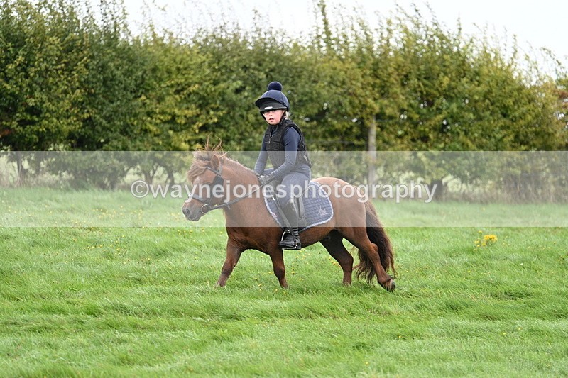 WJ7_7636 - Time 10:05 to 10:30  (3 cameras)