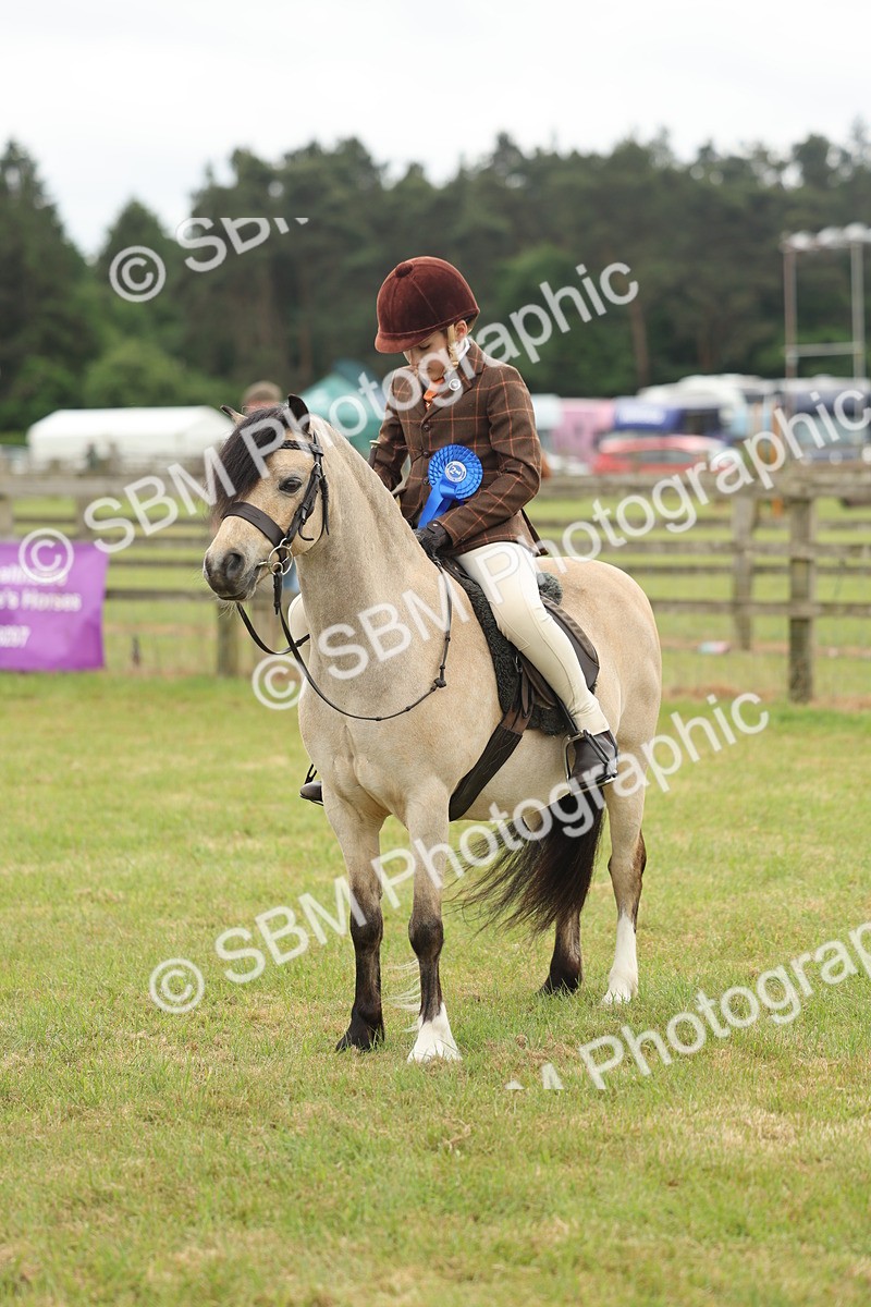 SBM_07145 - Class 76-77 - Ridden M&M Welsh Ponies