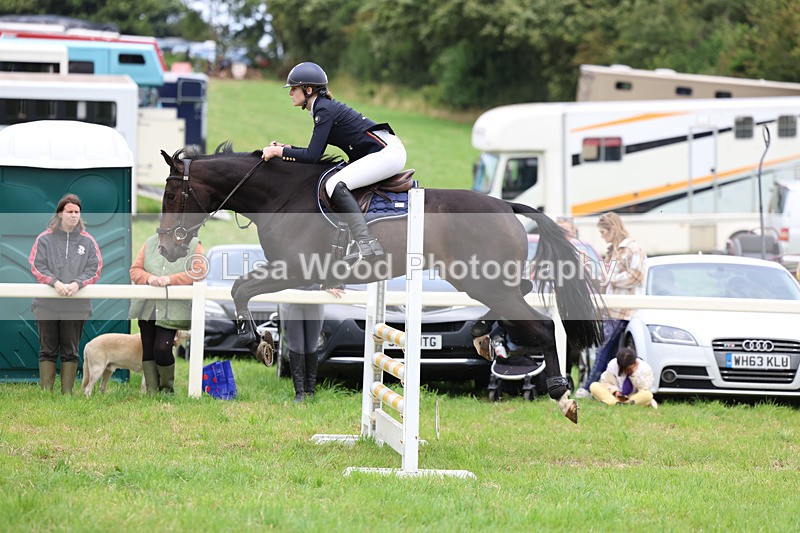 3E7A6983 - Class 5: Senior British Novice/90cm open