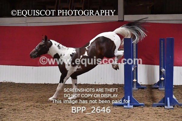 BPP_2646 - LOOSE JUMPING / SPSS