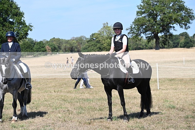 WJ6_9016 - Class 38 Ridden Riding Horse/Pony