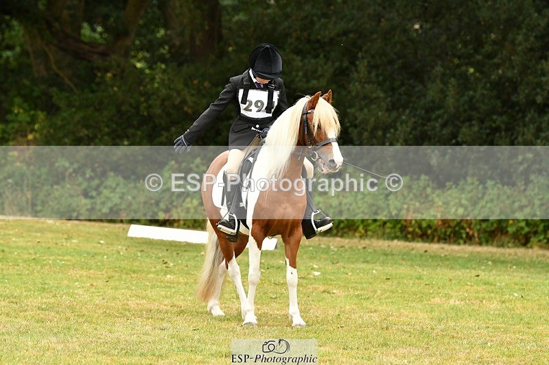 250820A-115017-05324 - 11am to 12