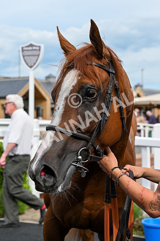 300526-Race 6-Zoustar Dreams-0879 - Race 6 16.43pm Racing TV Handicap
