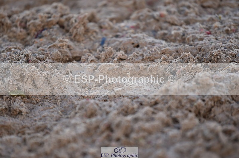 231104A-124010-01722 - Cls 8 Elementary 59